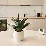 Apartment Alternativ 3 *