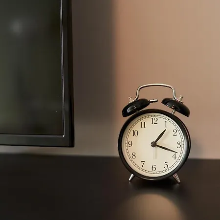 Alternativ 3 * Timişoara