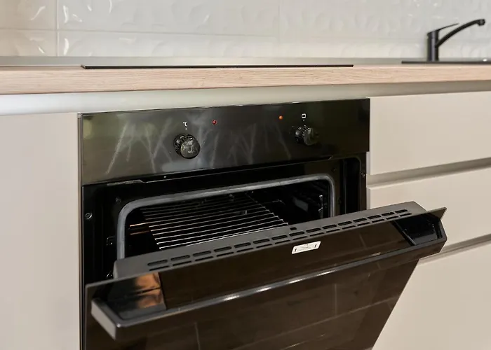 Alternativ 3 Timisoara