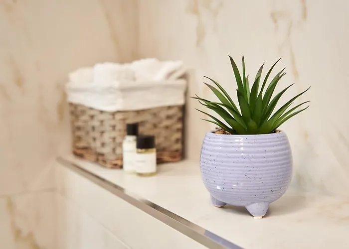 Alternativ 3 * Timisoara