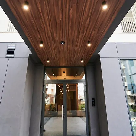 Alternativ 3 Timisoara