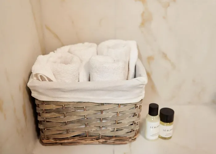 Alternativ 3 Timisoara